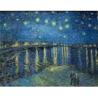 Amazon | 14CT クロスステッチ刺繍 キット《ローヌ川の星月夜